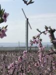 Torre antiheladas Orchard-Rite