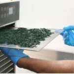 Organa Espirulina